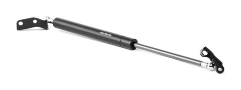 Ridex 219G0863 Tailgate Strut