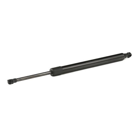 Ridex 219G0889 Tailgate Strut, photo 3