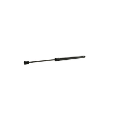 Ridex 219G0905 Tailgate Strut