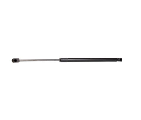 Ridex 219G0913 Tailgate Strut