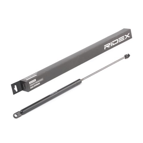Ridex 219G0931 Tailgate Strut, photo 2