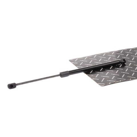 Ridex 219G0955 Tailgate Strut, photo 3