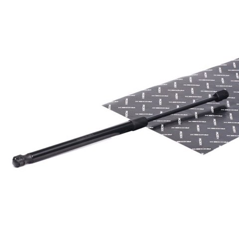 Ridex 219G0969 Tailgate Strut, photo 3