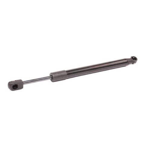 Ridex 219G0983 Tailgate Strut, photo 3