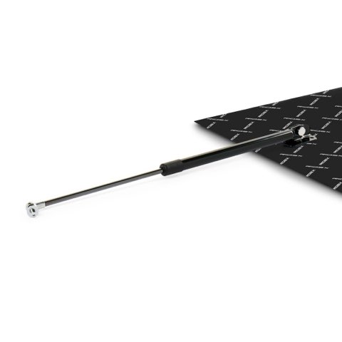 Ridex 219G0992 Tailgate Strut