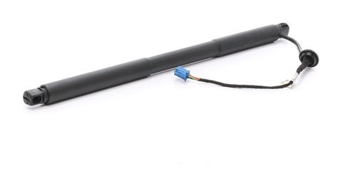 Ridex 219G1036 Tailgate Strut