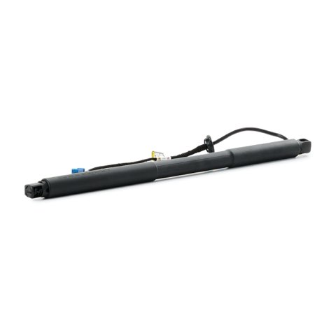 Ridex 219G1036 Tailgate Strut, photo 3