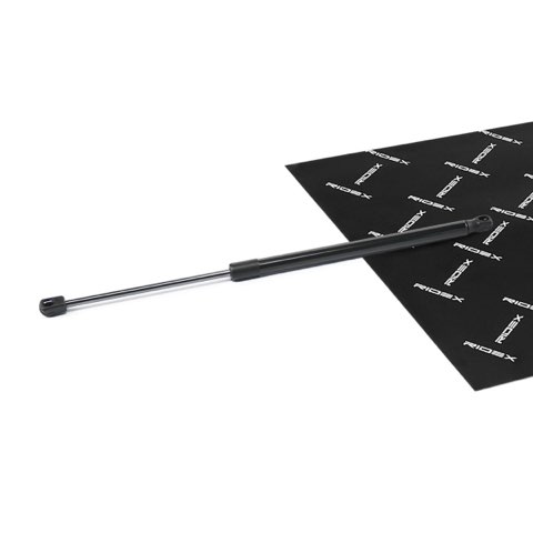 Ridex 219G1107 Tailgate Strut