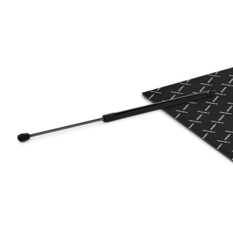Ridex 219G1143 Tailgate Strut