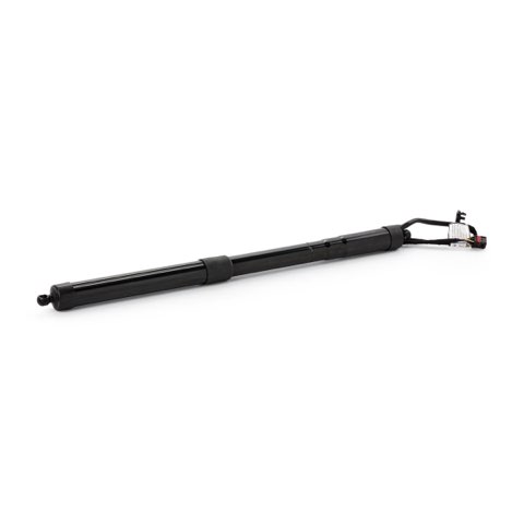 Ridex 219G1186 Tailgate Strut, photo 2