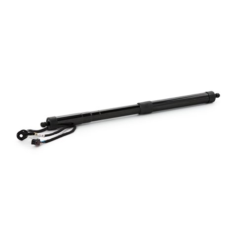 Ridex 219G1186 Tailgate Strut, photo 3