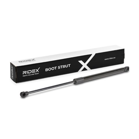 Ridex 219G1376 Tailgate Strut