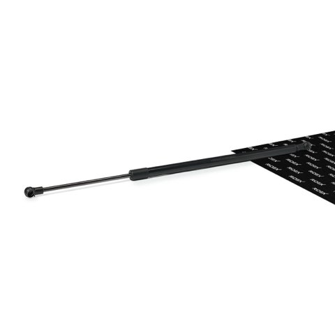 Ridex 219G1398 Tailgate Strut