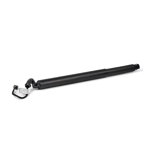 Ridex 219G1683 Tailgate Strut, photo 2