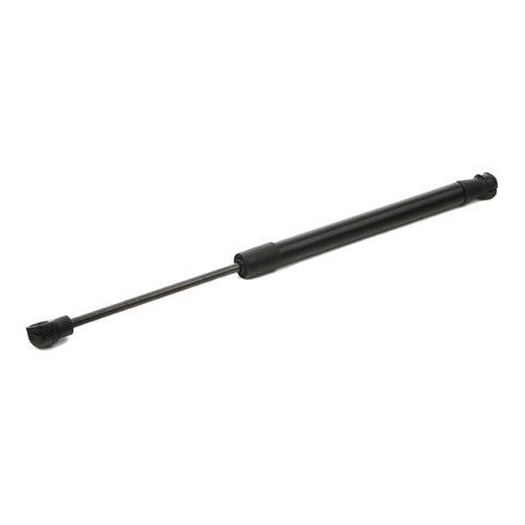 Ridex 2454G0002 Gas Spring, Rear Windscreen, photo 3