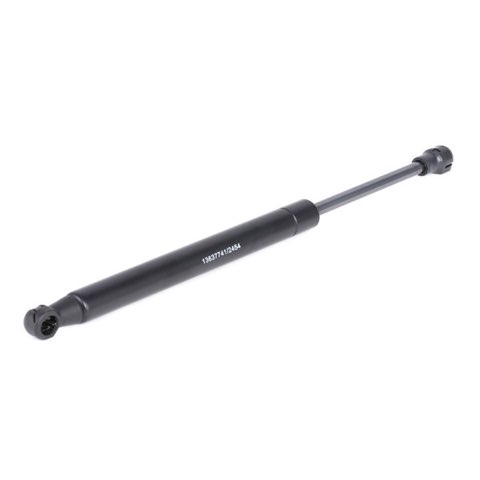 Ridex 2454G0019 Gas Spring, Rear Windscreen, photo 3