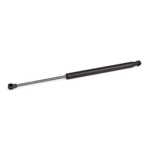 Ridex 2454G0021 Gas Spring, Rear Windscreen, photo 3