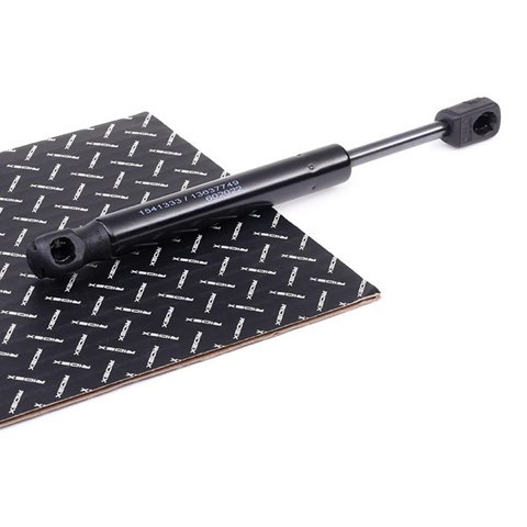 Ridex 2454G0022 Gas Spring, Rear Windscreen, photo 2