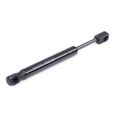Ridex 2454G0022 Gas Spring, Rear Windscreen, photo 3