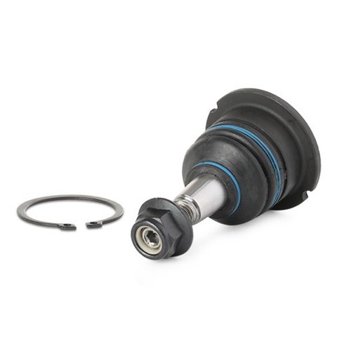 Ridex 2462S0341 Ball Joint, photo 3