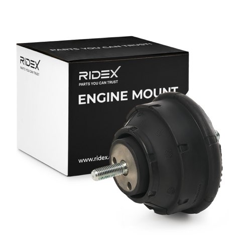 Ridex 247E0003 Engine Mount, photo 2