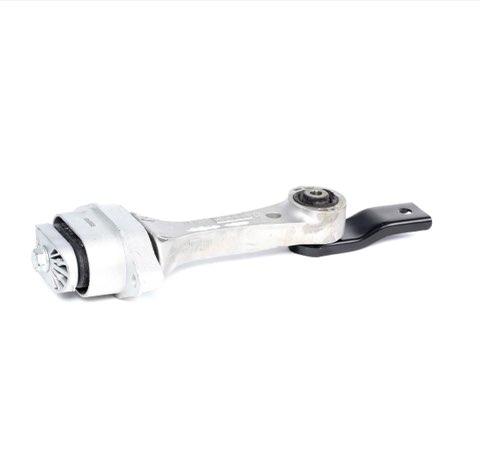 Ridex 247E0004 Engine Mount