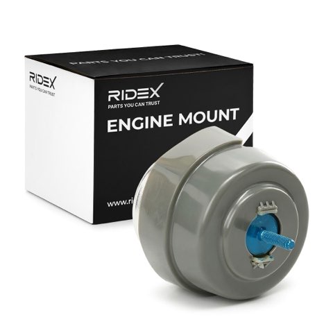 Ridex 247E0006 Engine Mount, photo 2