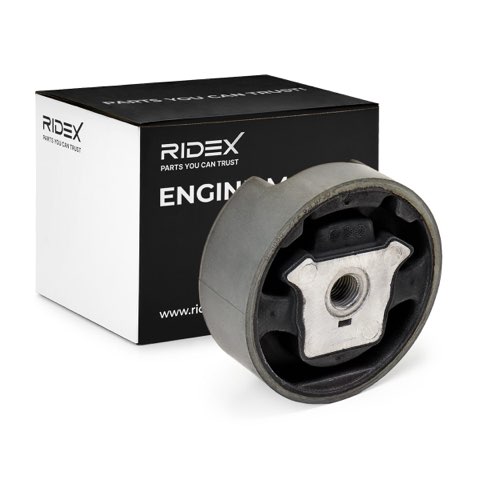 Ridex 247E0008 Engine Mount, photo 2
