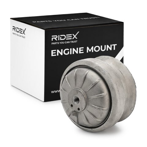 Ridex 247E0020 Engine Mount, photo 2