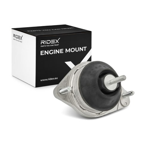 Ridex 247E0030 Engine Mount, photo 2