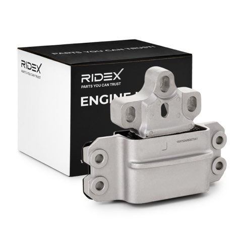Ridex 247E0034 Engine Mount, photo 2