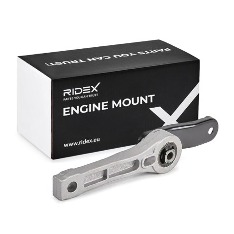 Ridex 247E0036 Engine Mount, photo 2