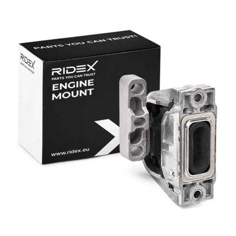 Ridex 247E0037 Engine Mount, photo 2