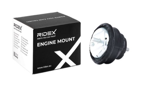 Ridex 247E0042 Engine Mount, photo 2
