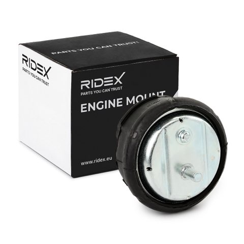 Ridex 247E0043 Engine Mount, photo 2