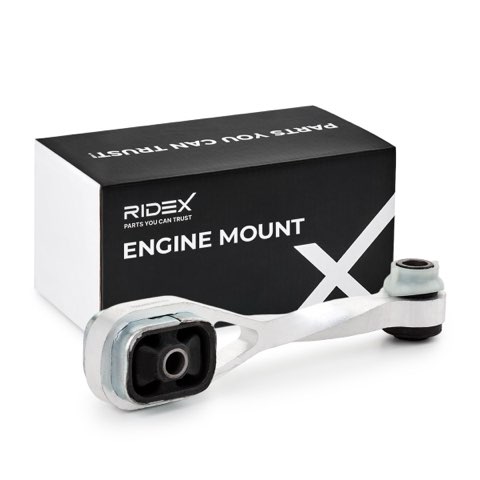 Ridex 247E0048 Engine Mount, photo 2