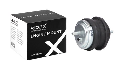 Ridex 247E0053 Engine Mount, photo 2