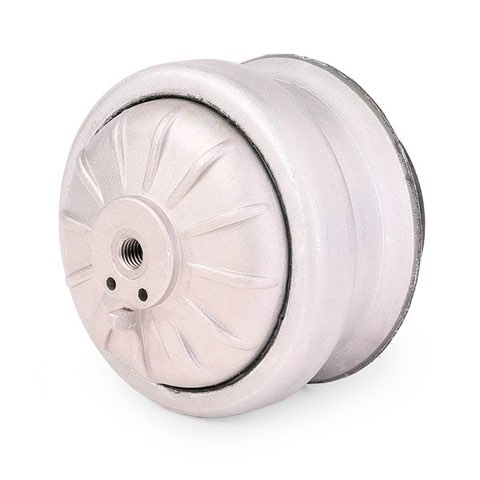 Ridex 247E0060 Engine Mount, photo 3