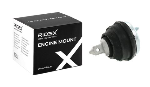 Ridex 247E0063 Engine Mount, photo 2
