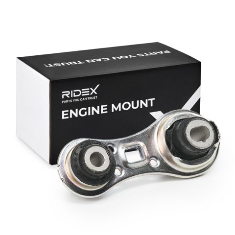 Ridex 247E0069 Engine Mount, photo 2