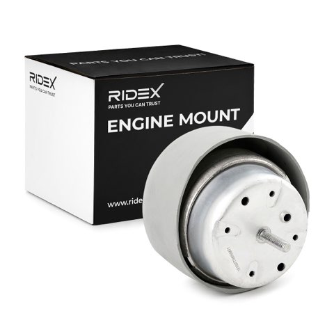 Ridex 247E0071 Engine Mount, photo 2