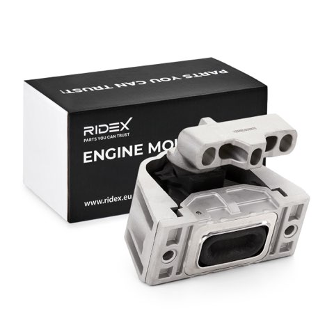 Ridex 247E0072 Engine Mount, photo 2