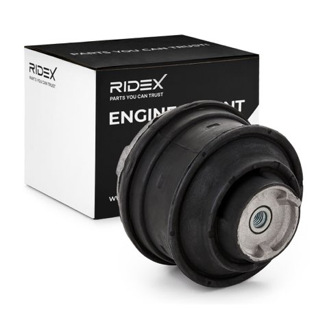 Ridex 247E0086 Engine Mount, photo 2