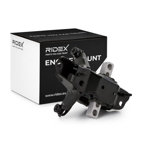Ridex 247E0094 Engine Mount, photo 2
