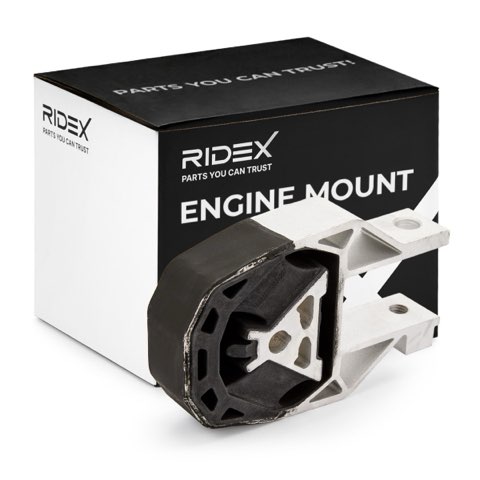 Ridex 247E0096 Engine Mount, photo 2