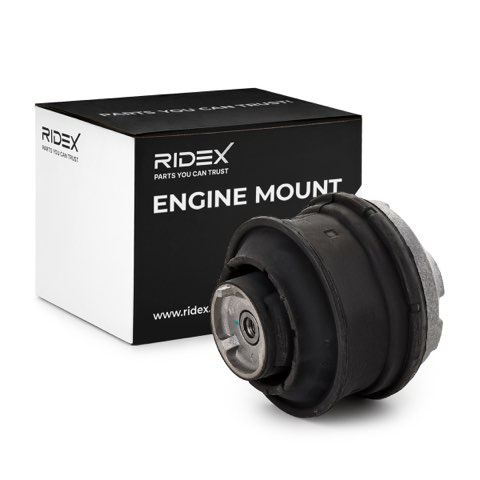 Ridex 247E0097 Engine Mount, photo 2