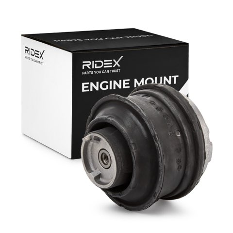Ridex 247E0098 Engine Mount, photo 2