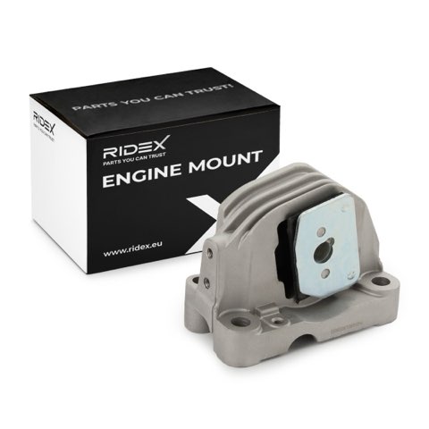 Ridex 247E0106 Engine Mount, photo 2