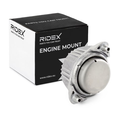 Ridex 247E0108 Engine Mount, photo 2
