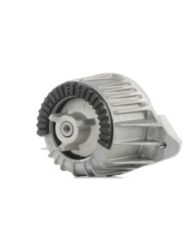 Ridex 247E0118 Engine Mount